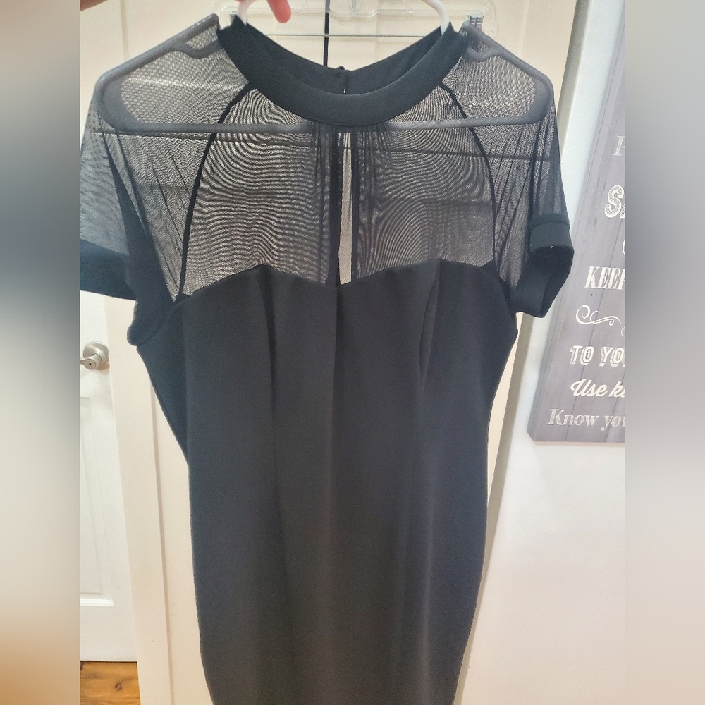 Elegant Black Sheer Dress
